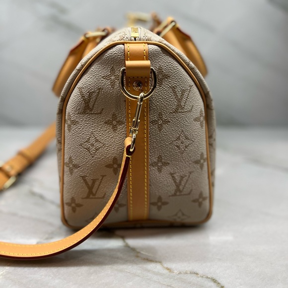 Louis Vuitton Speedy Bandoulière 25 Monopaname Monogram Paris Street Sign - Picture 7 of 13